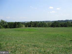 a view of a grassy field with trees in the background