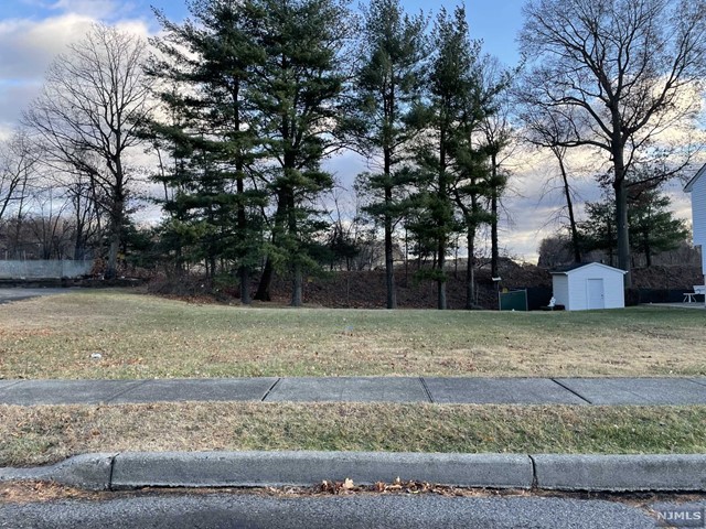 a view of a yard with large trees