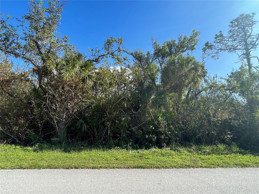 a view of a golf course with a tree