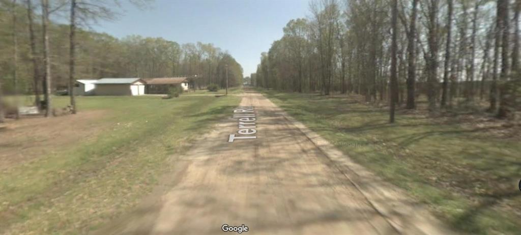 a view of a yard with trees