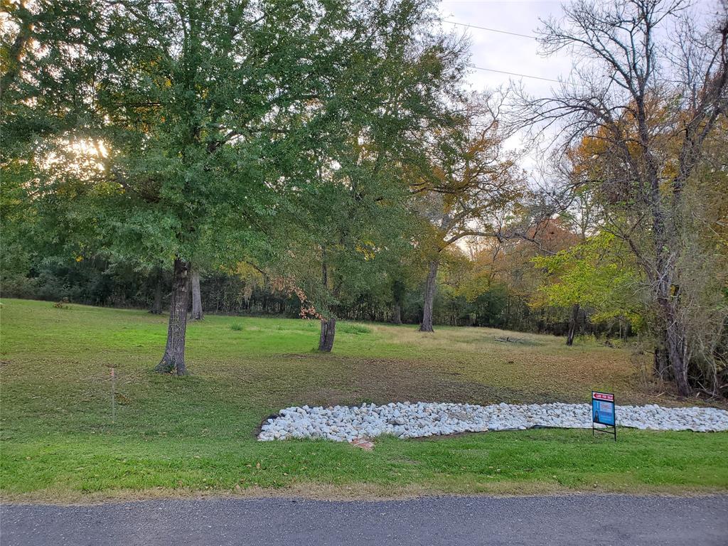 a green field with lots of trees