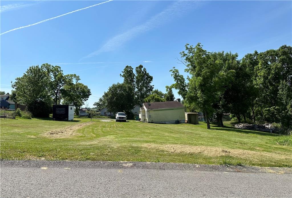 a view of a trees with a big yard