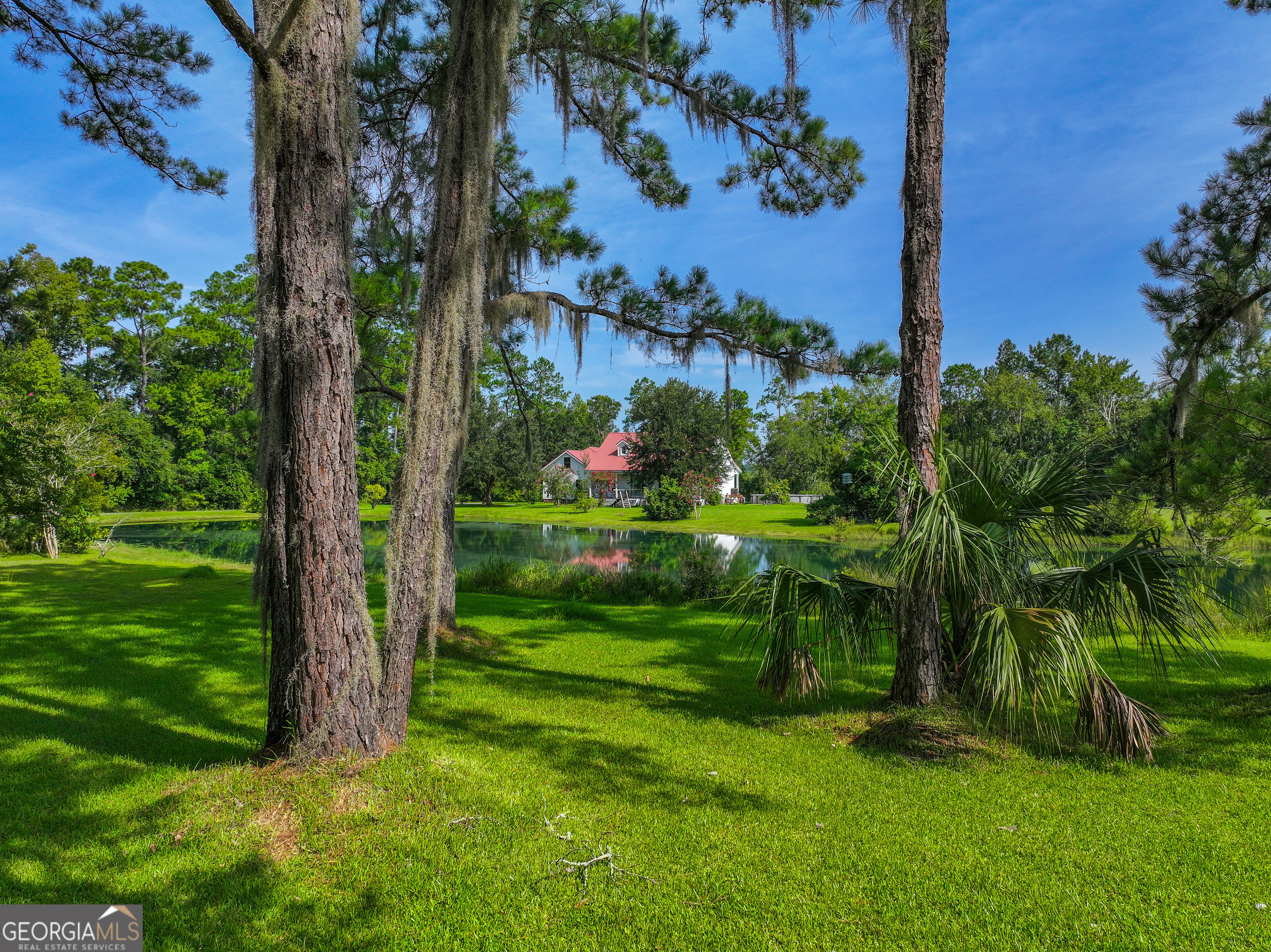 a view of a garden with a tree in front of the house