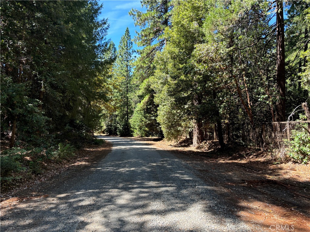 a view of a street with a trees