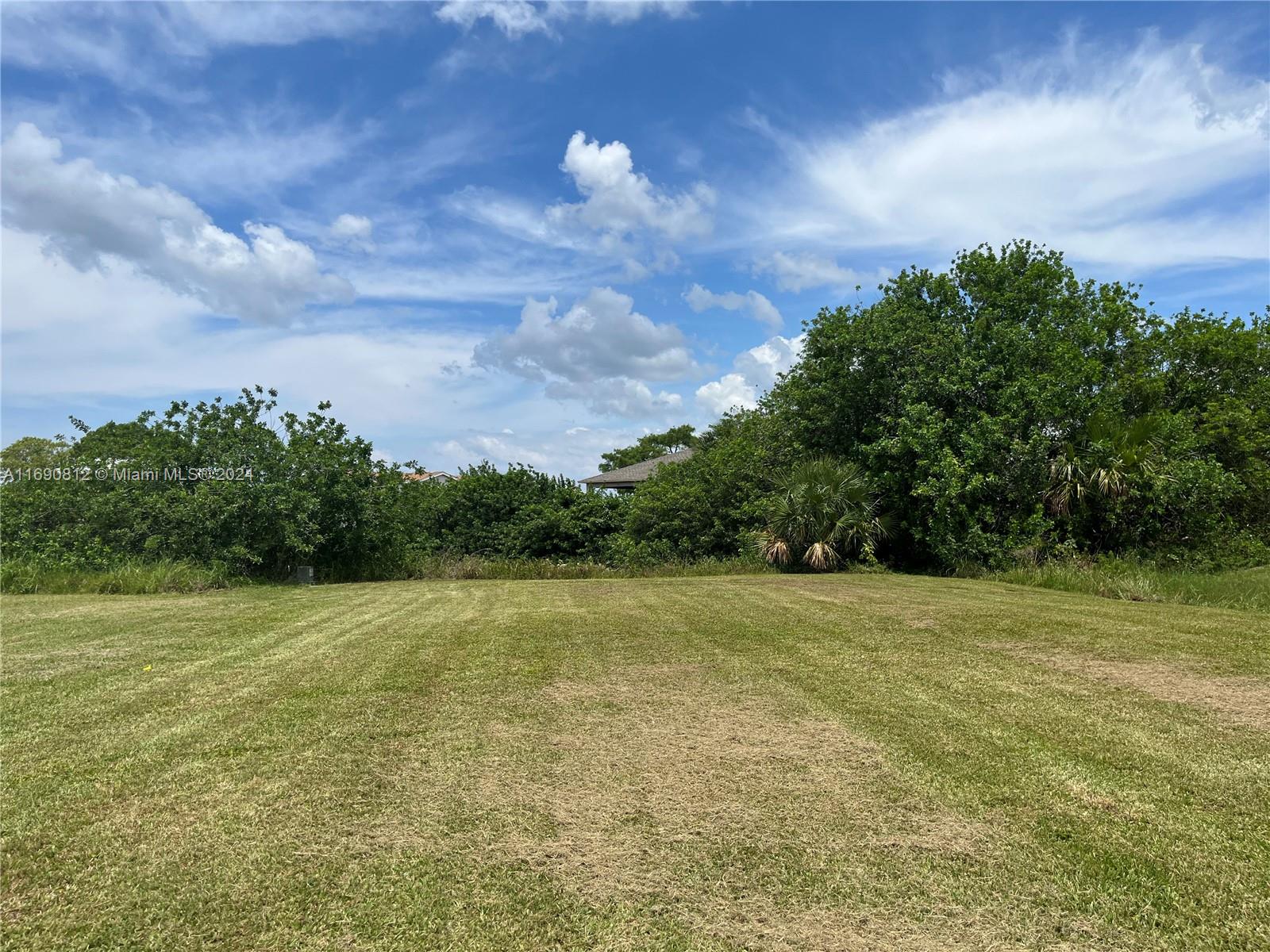 a view of a big yard with lots of green space and plants