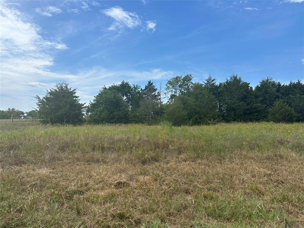 a view of a field with trees in background