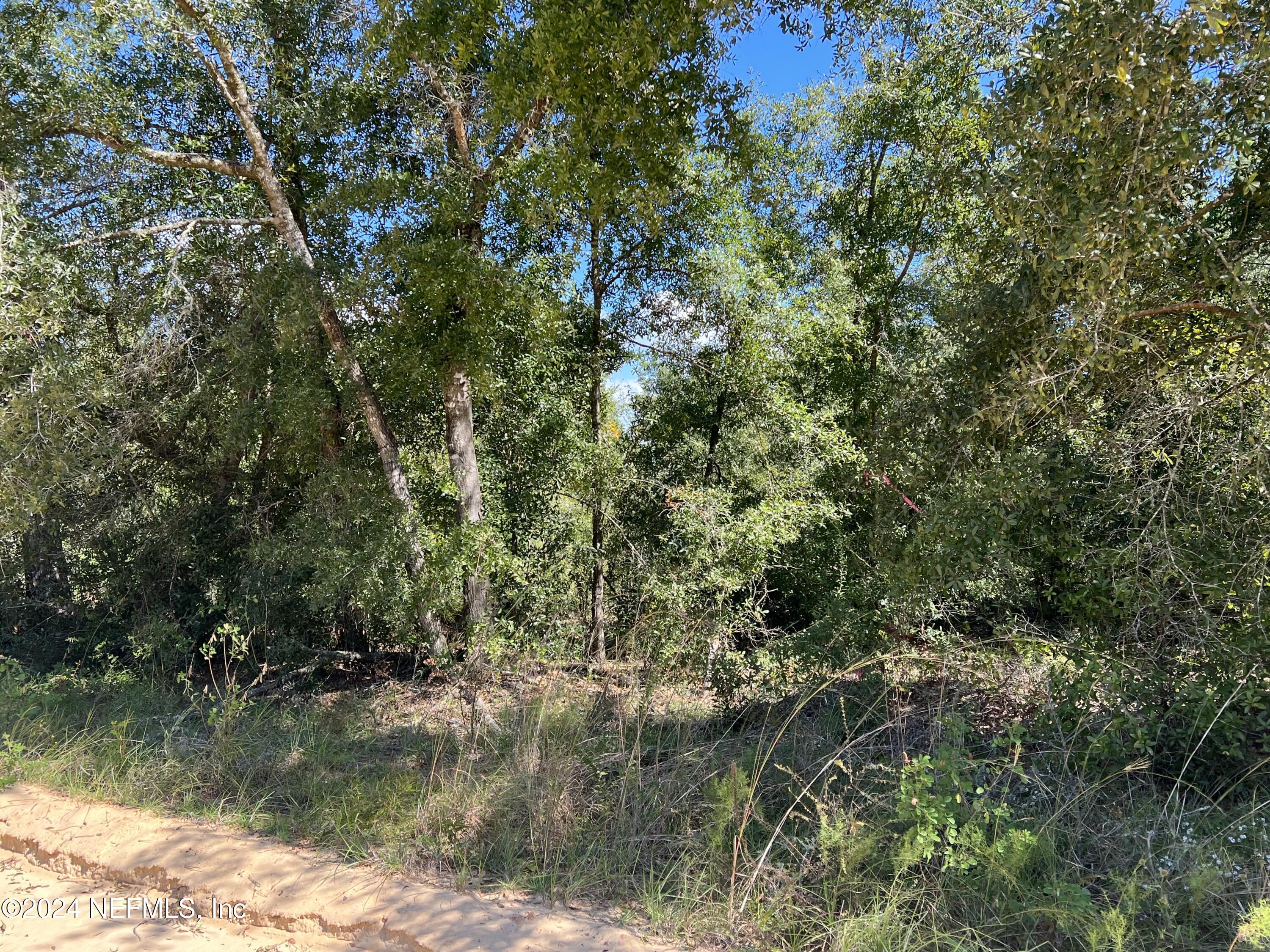 a view of a lake with a tree