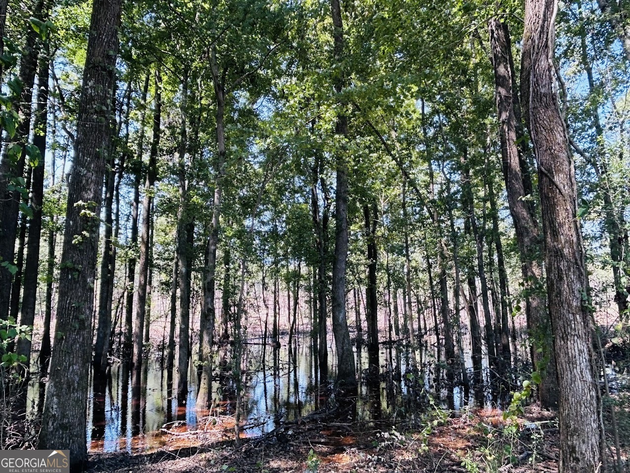 a view of outdoor space with lots of trees