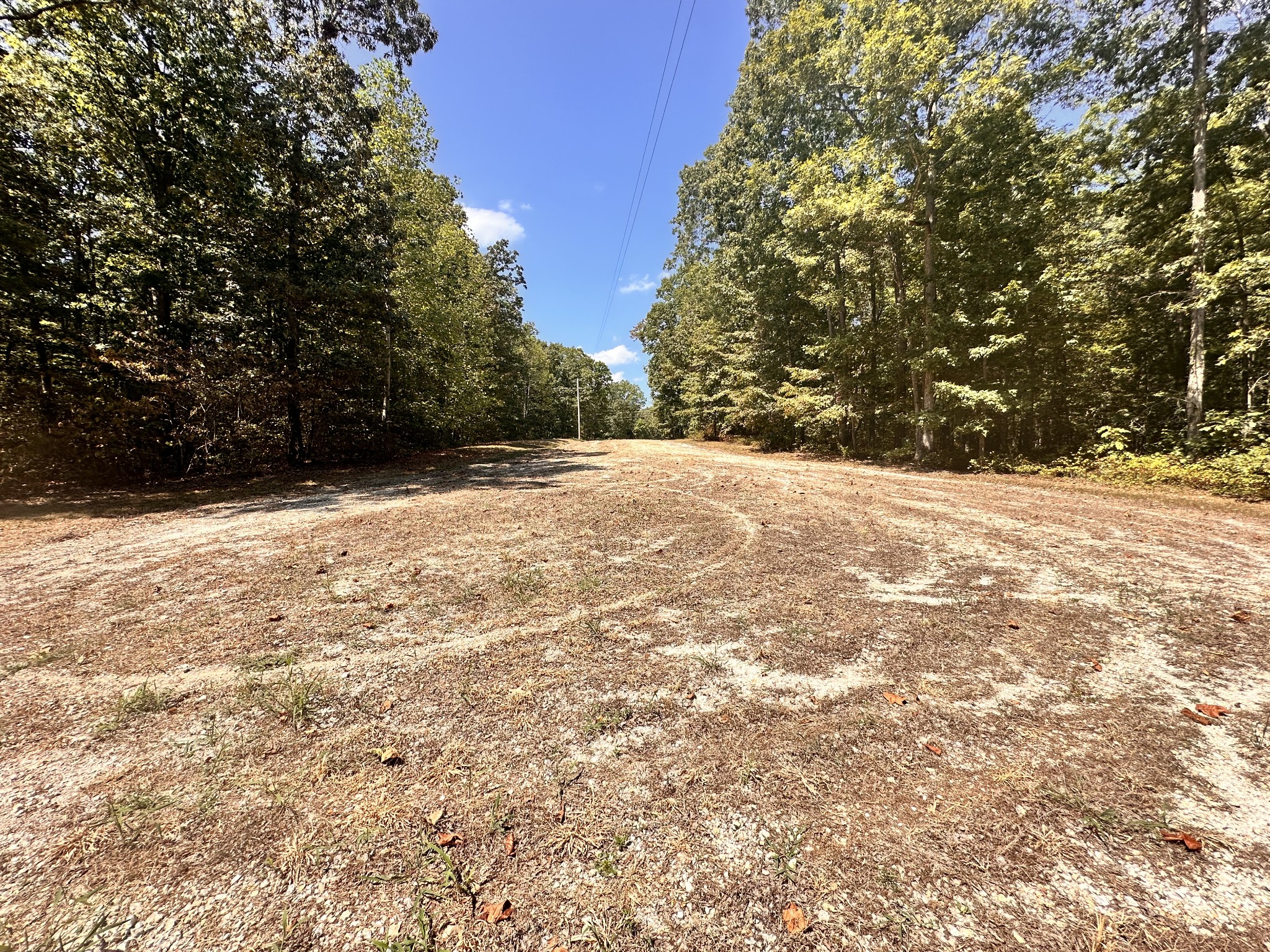 a view of empty space with large trees