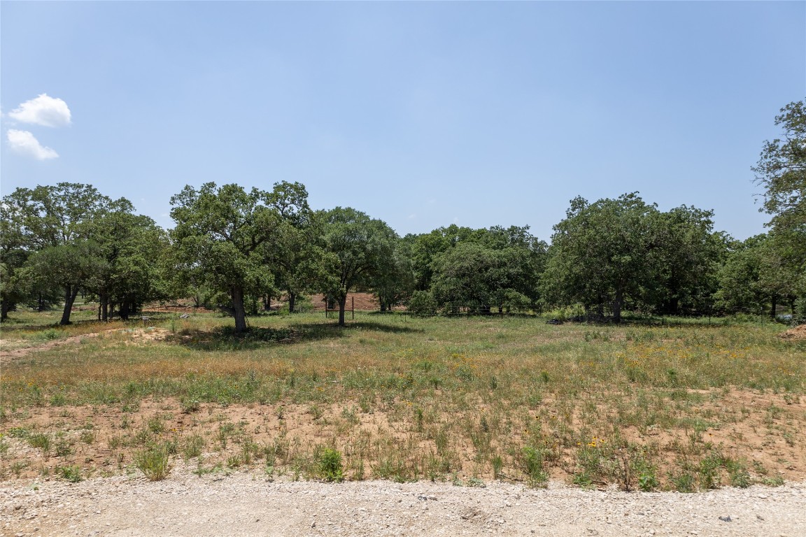 a view of a yard with a tree