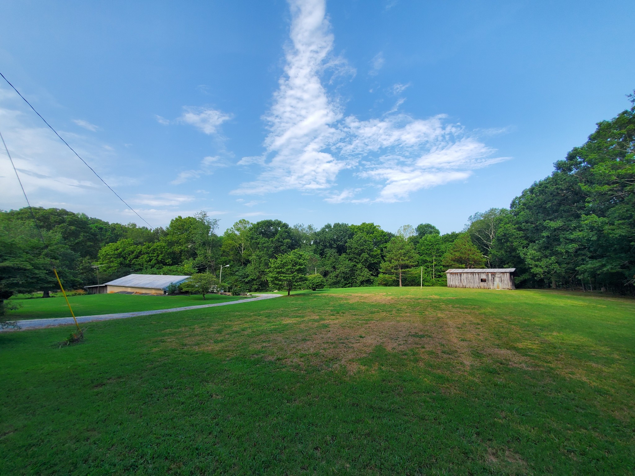 a view of grassy field with trees