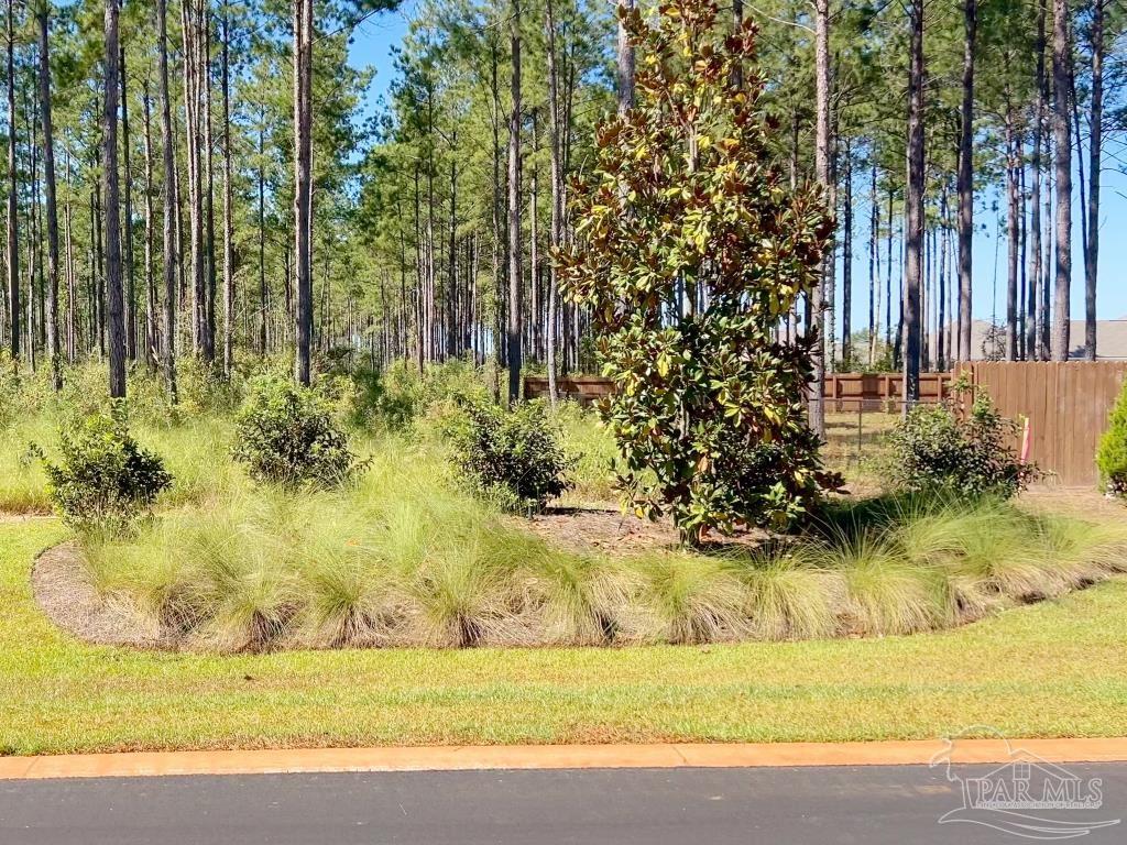 a view of a yard with an trees