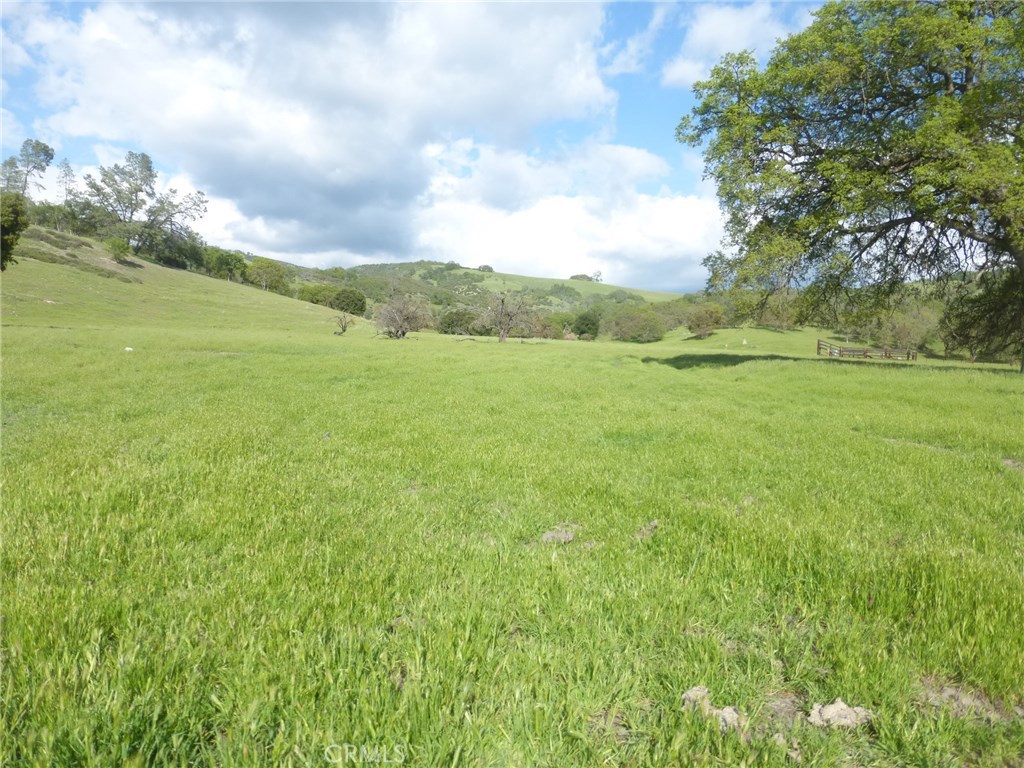 a view of an ocean from a yard