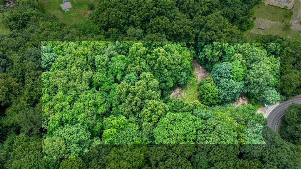 a view of a lush green forest with lawn chairs