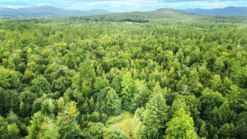 a view of a lush green field with a mountain in the background