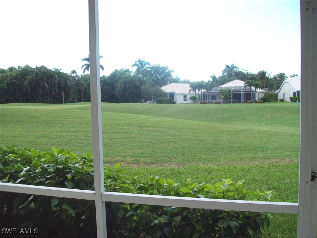 a view of a field with a tree in the background