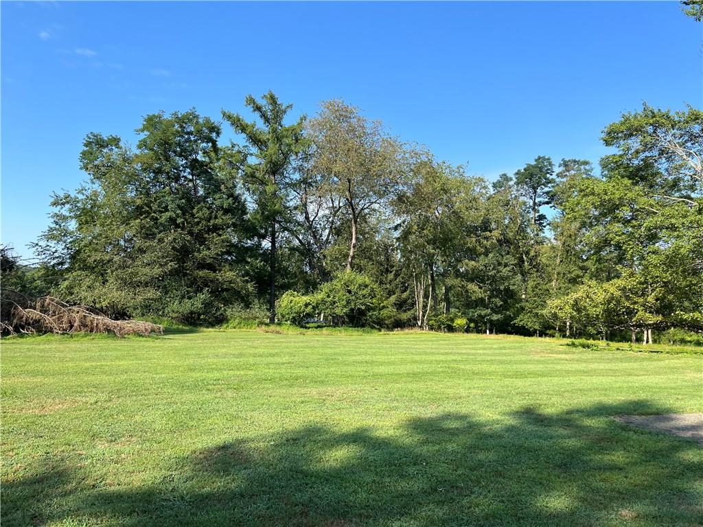 a view of a with trees in the grass