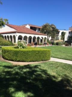 a view of a big yard with potted plants