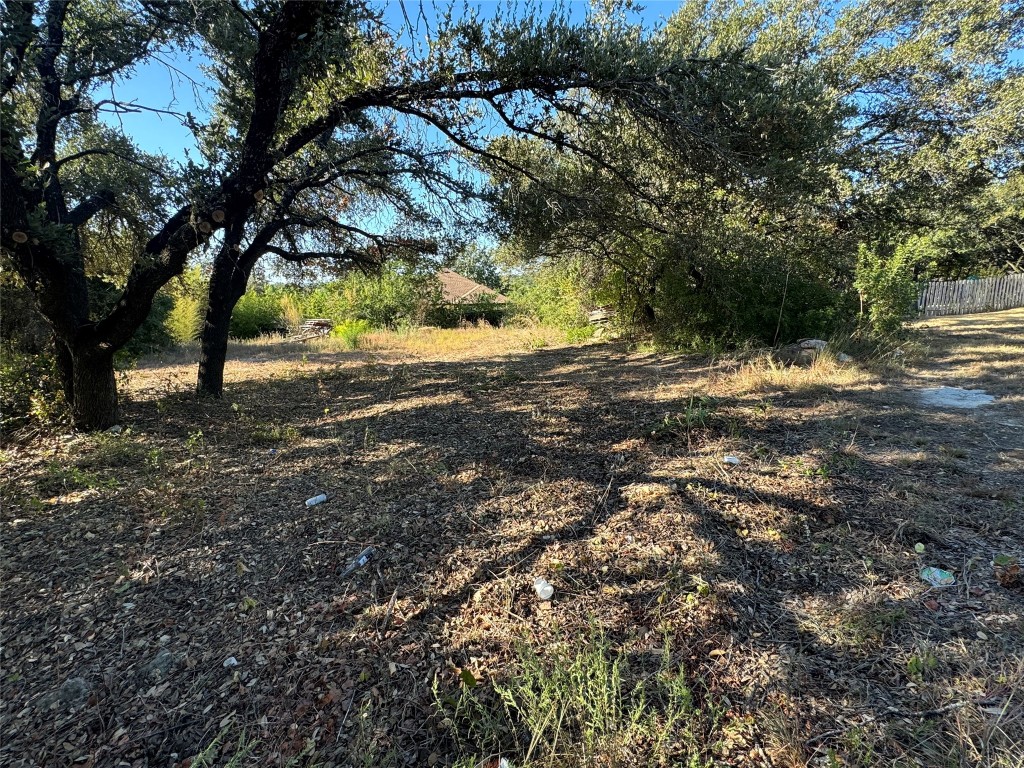 a view of dirt yard with a large tree