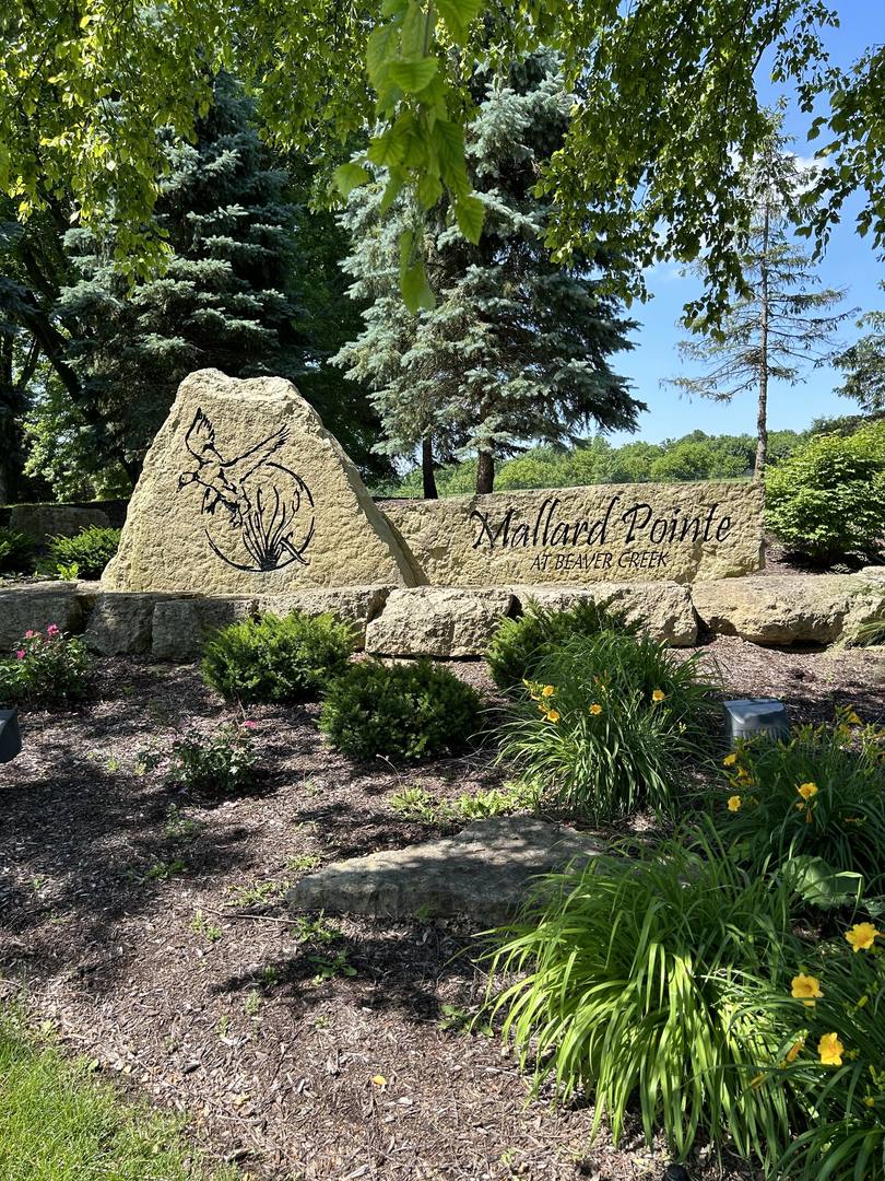 a view of a sign in a yard