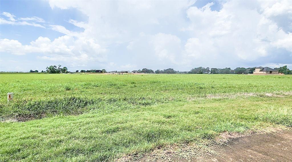 a view of a big yard with lots of green space