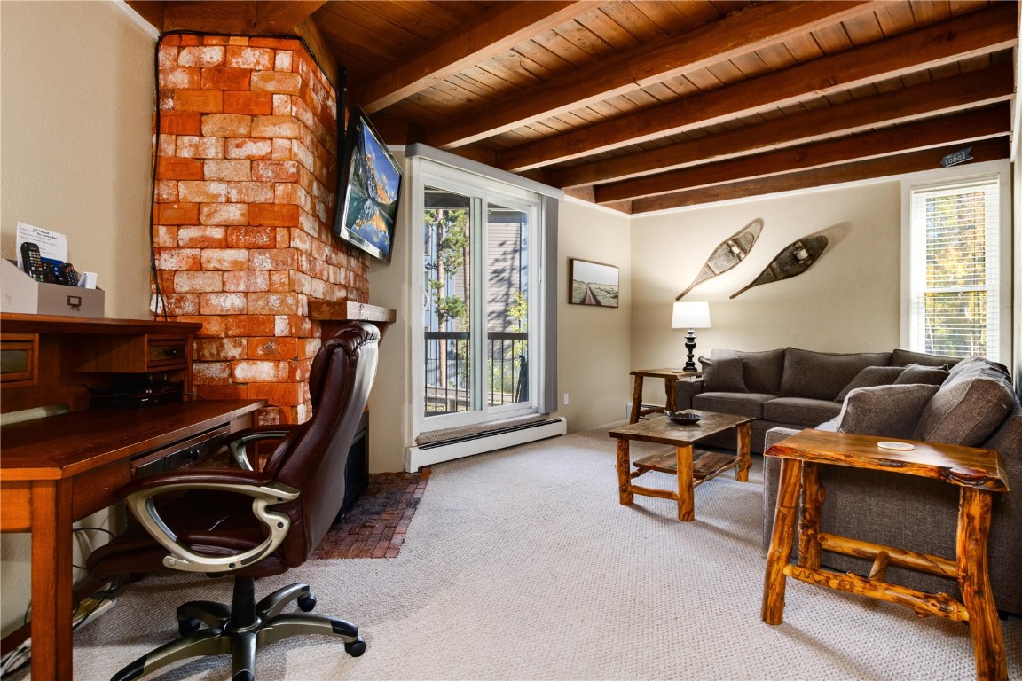 Living roomwith carpet floors, plenty of natural light, and a baseboard heating unit