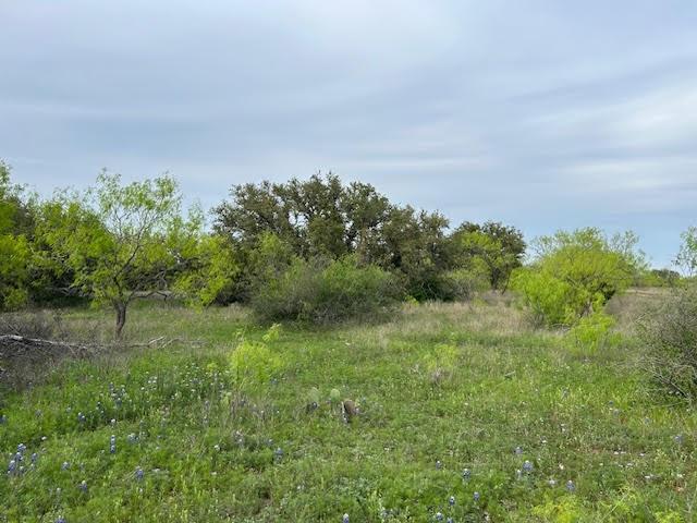 a view of a field of grass and trees