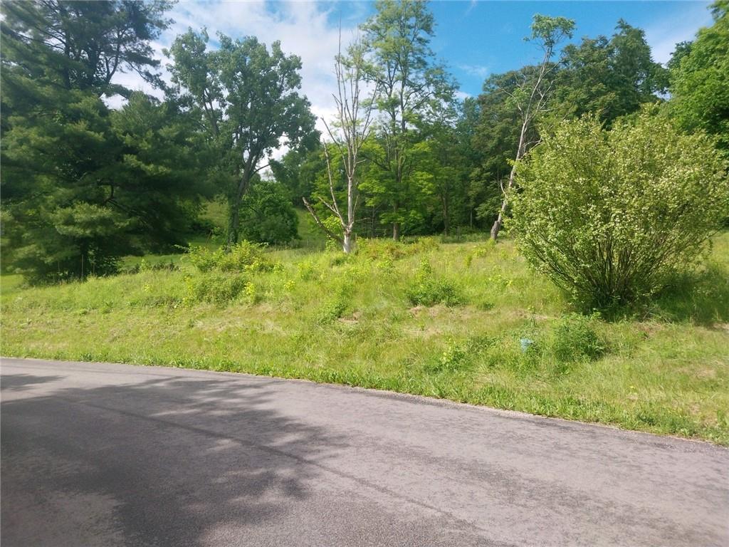 a view of a yard with plants and a trees