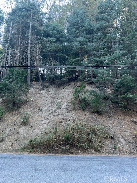 a view of a dry yard with trees