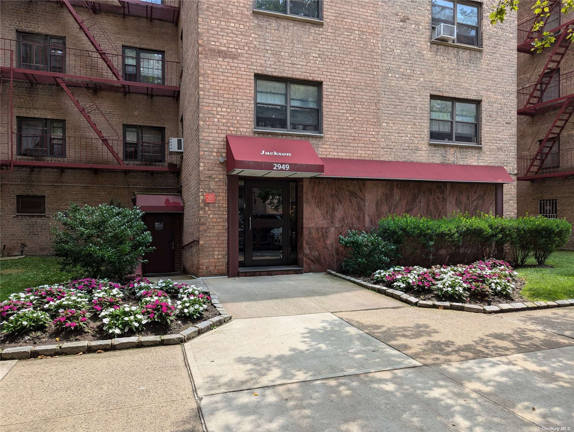 a view of a potted plant sitting in front of a building