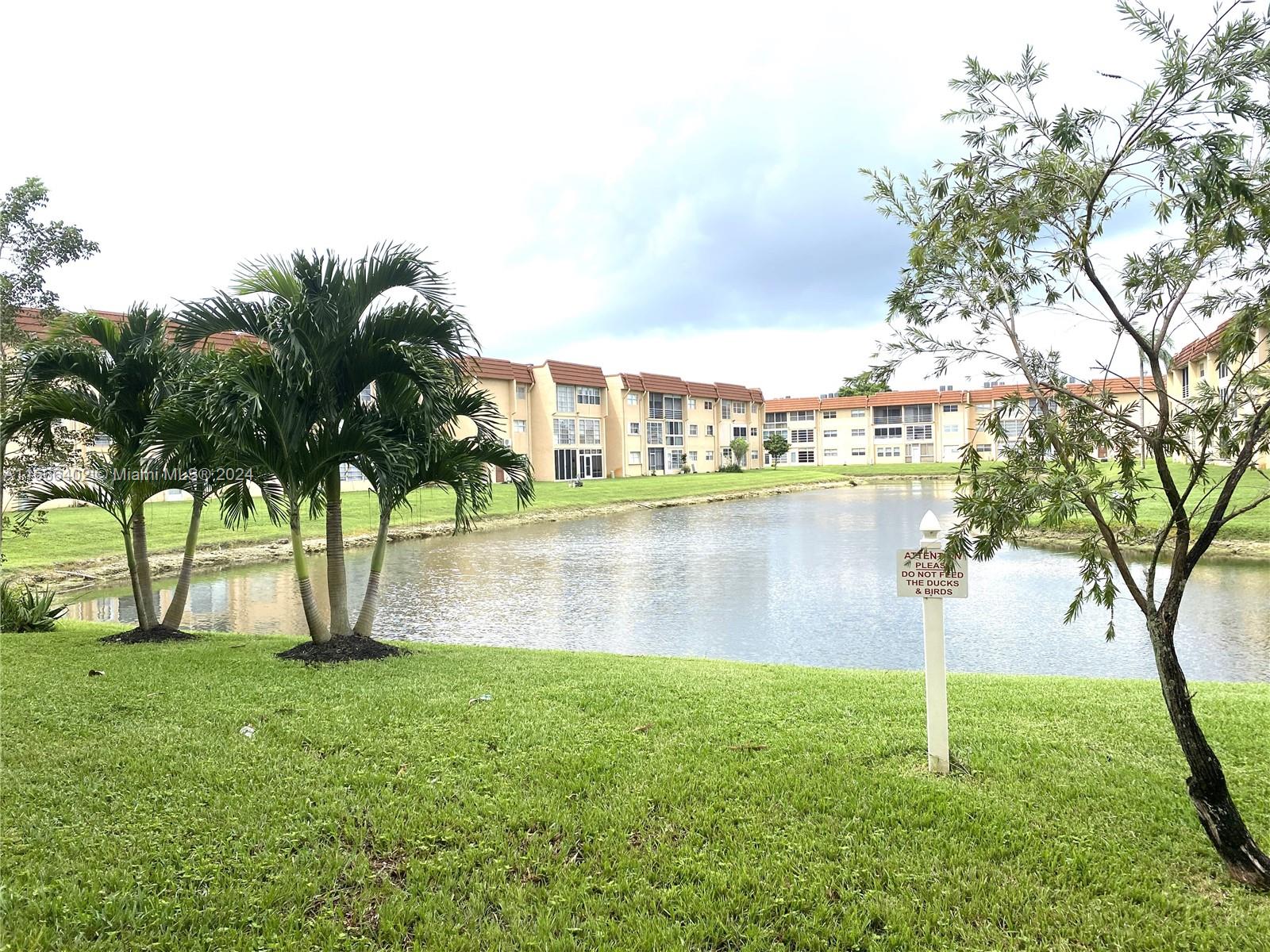 a lake view with palm trees