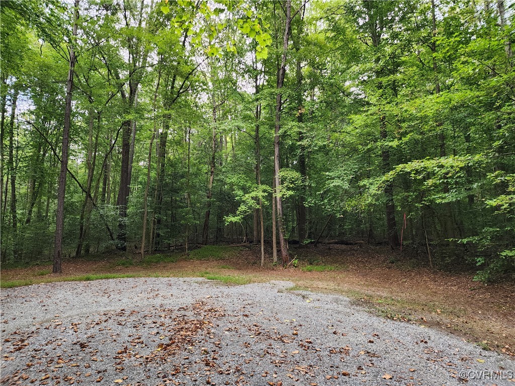 a view of a backyard with large trees