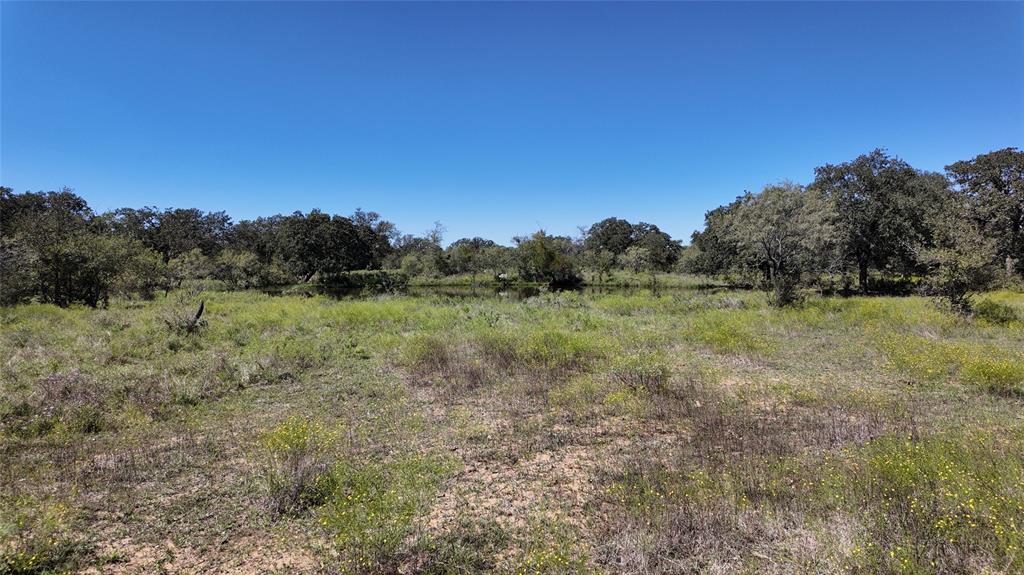 a view of a field with trees in the background