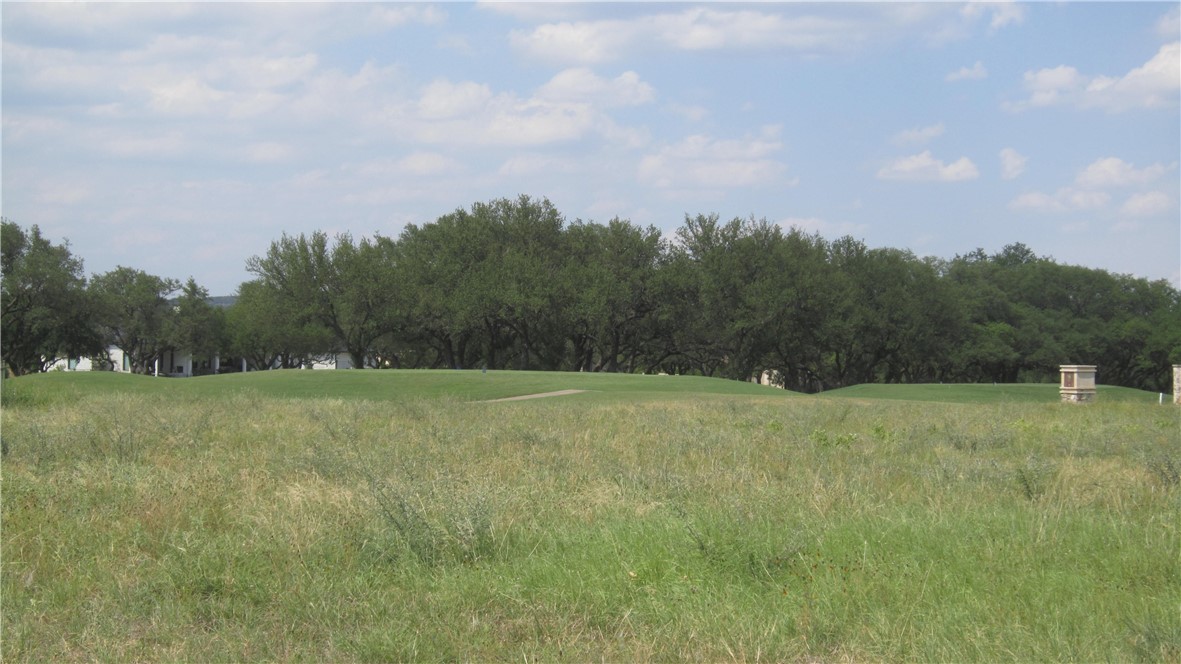 a view of a field with trees in the background