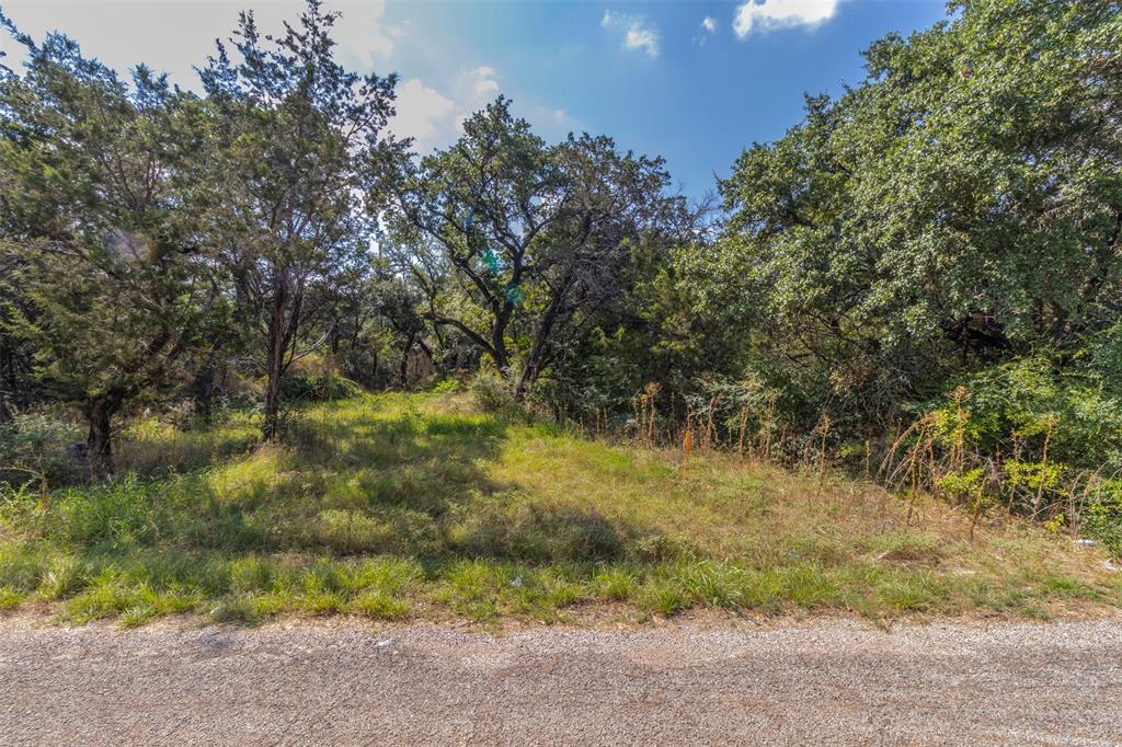 a view of a yard with a tree