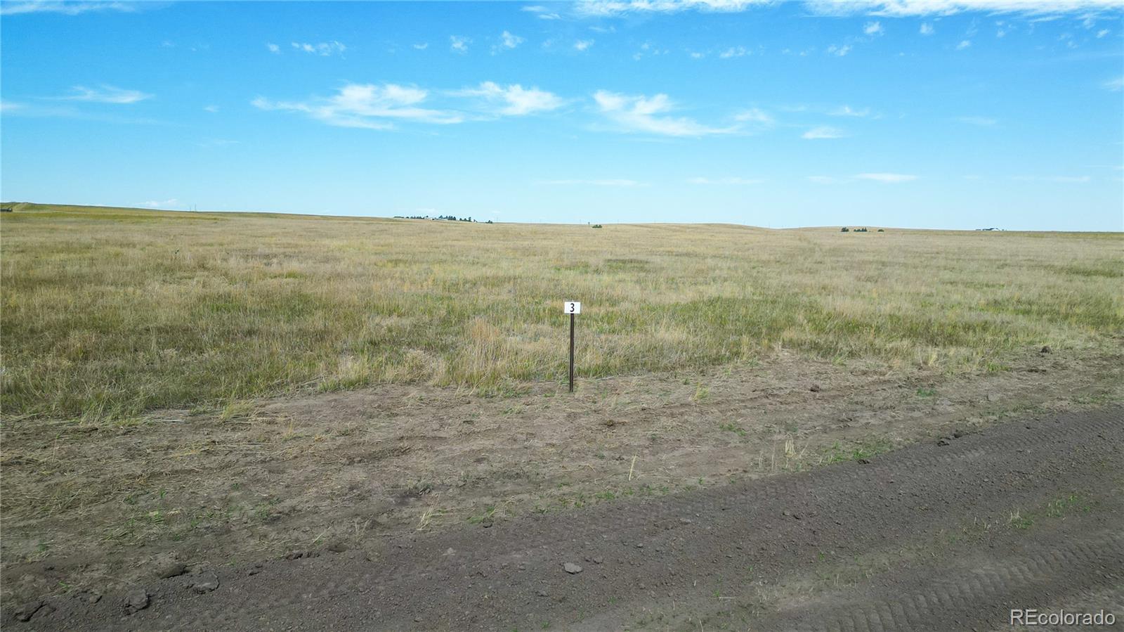 a view of a field with an ocean