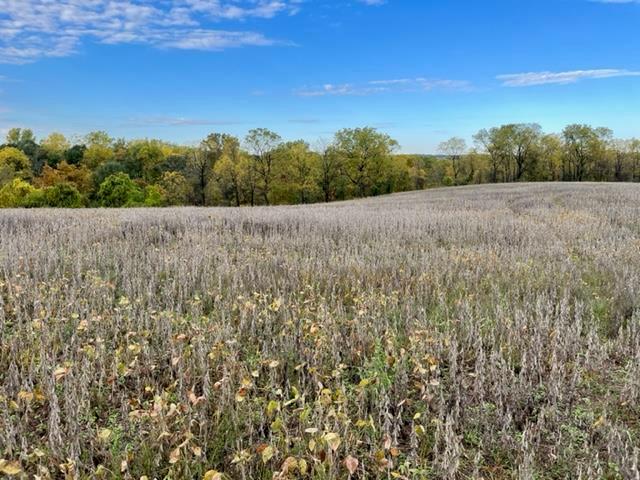 a view of a field with an outdoor space