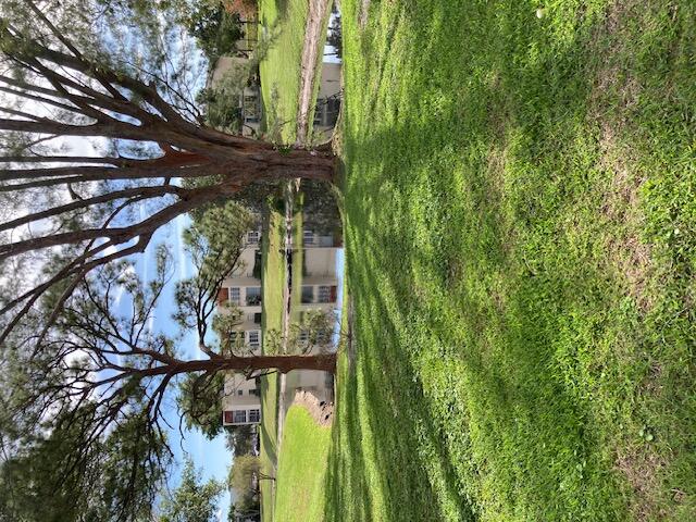 a backyard of a house with lots of green space