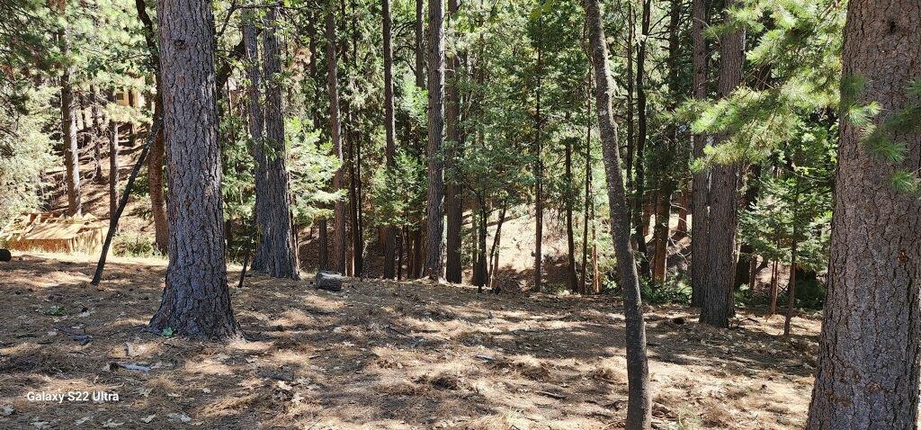 a view of outdoor space with trees