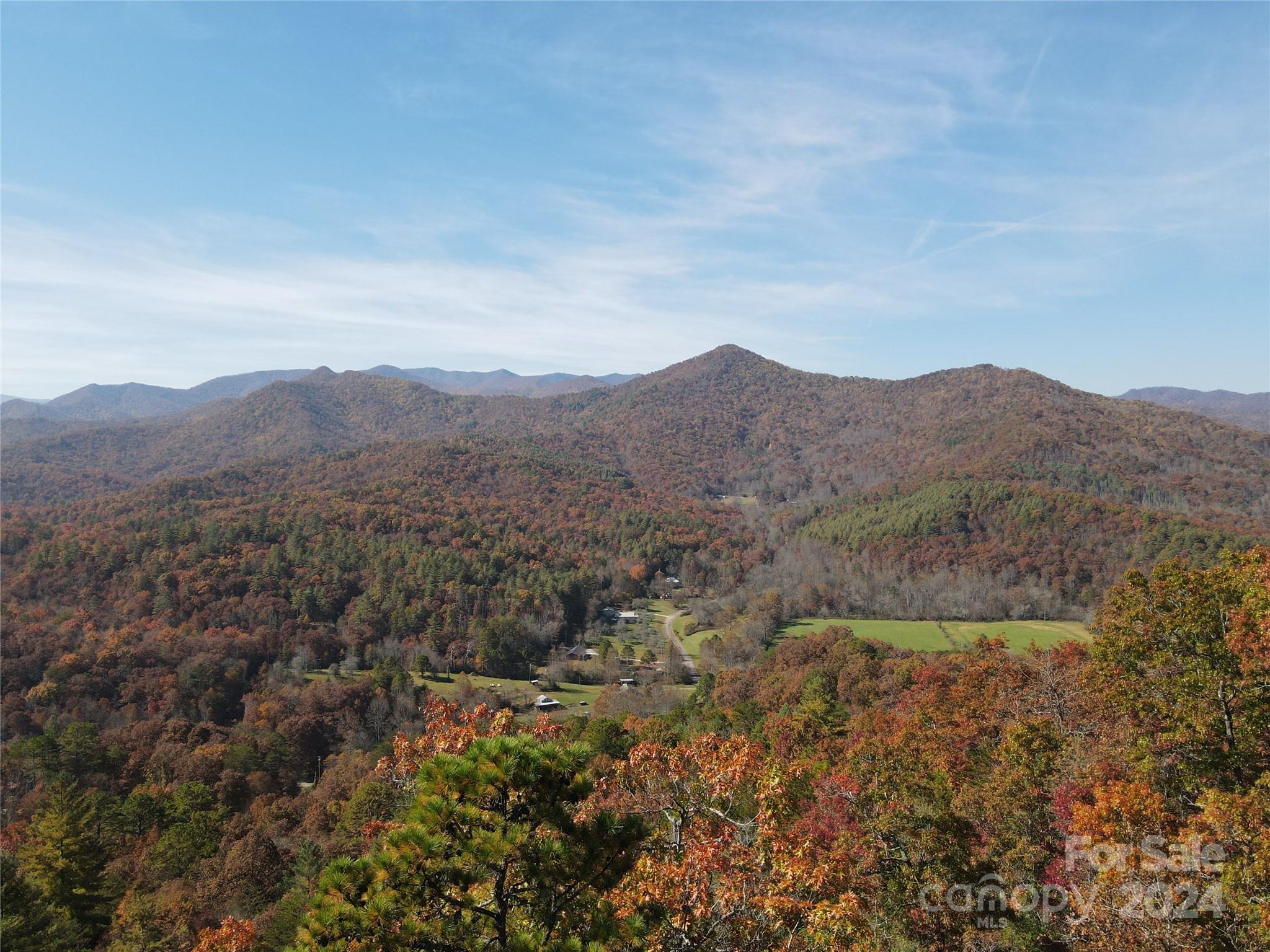 a view of a lush green field with mountains in the background