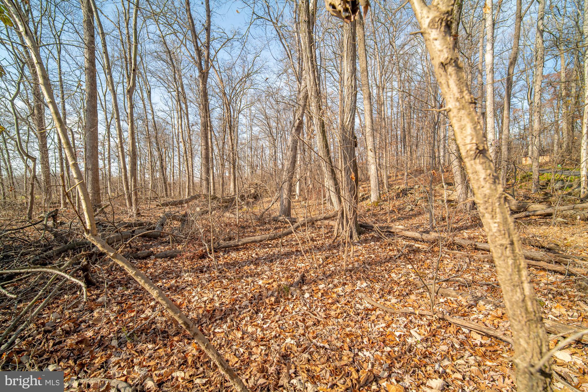 a view of a backyard of the house