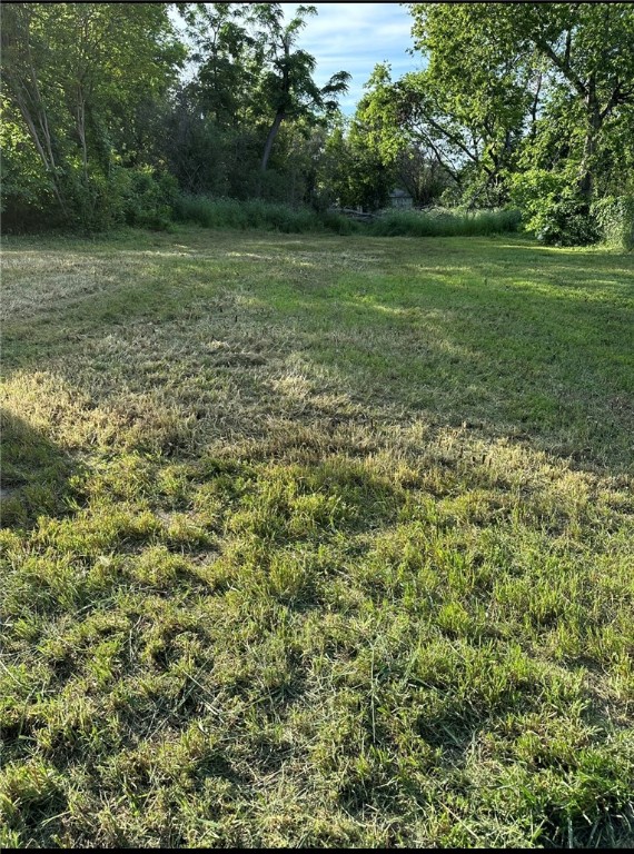 a view of a grassy field with trees