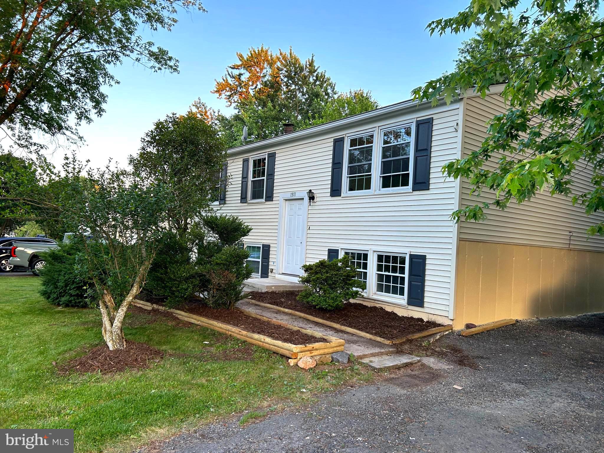 a view of a house with a yard and a large tree