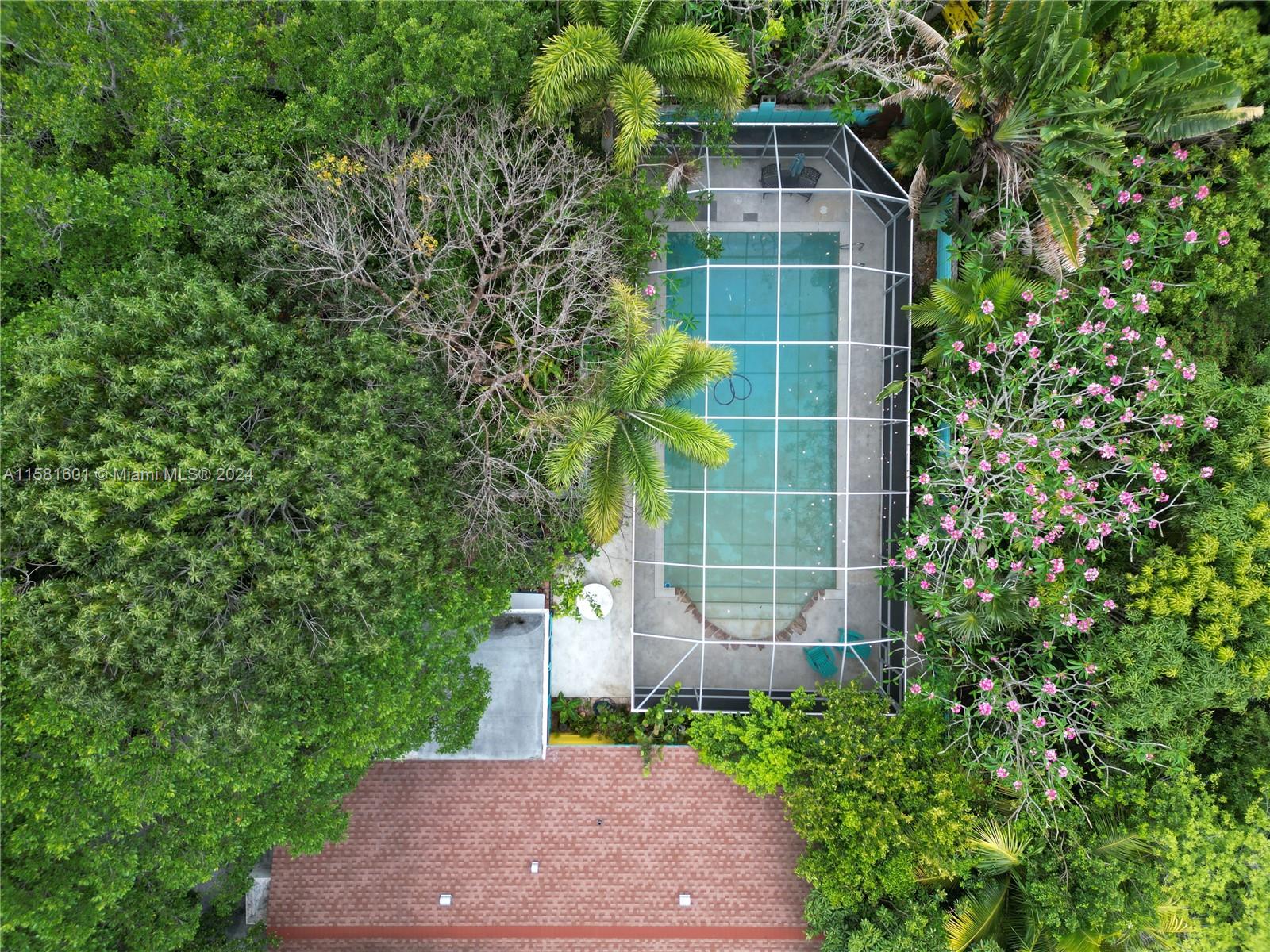 a view of a backyard