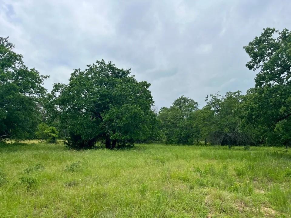 a view of a green field with trees in the background