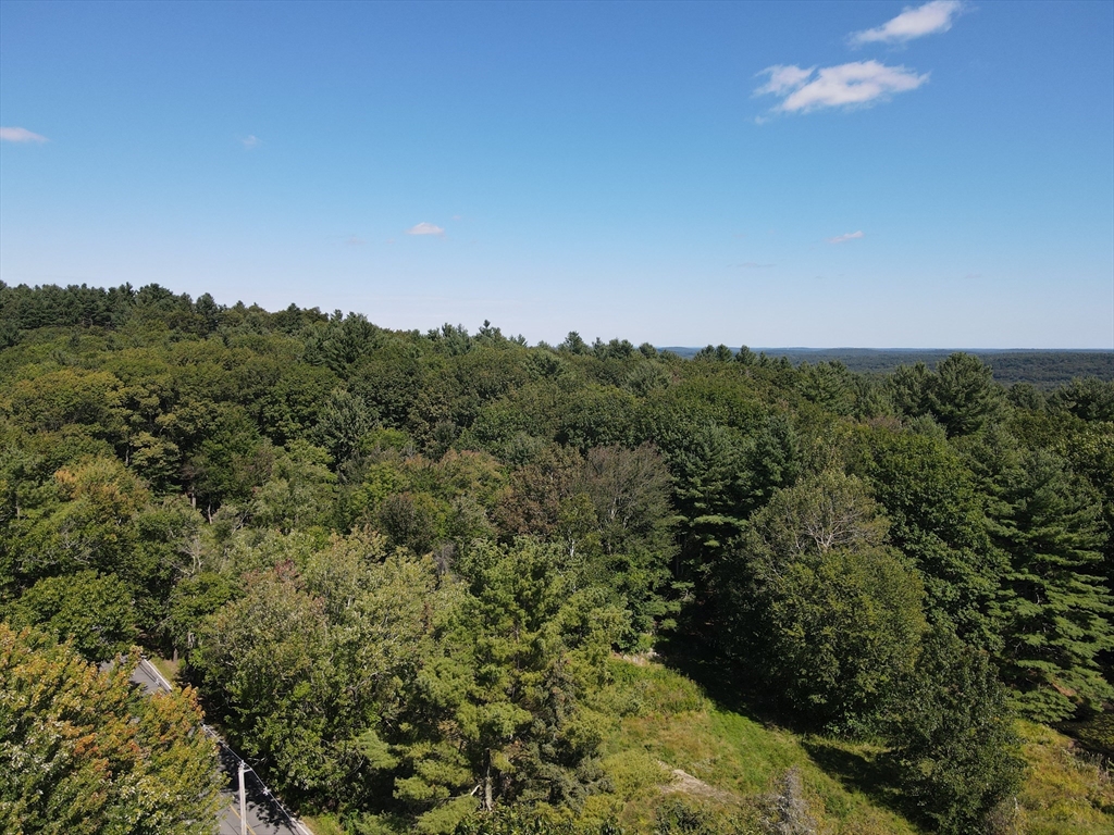 a view of a field of grass and trees