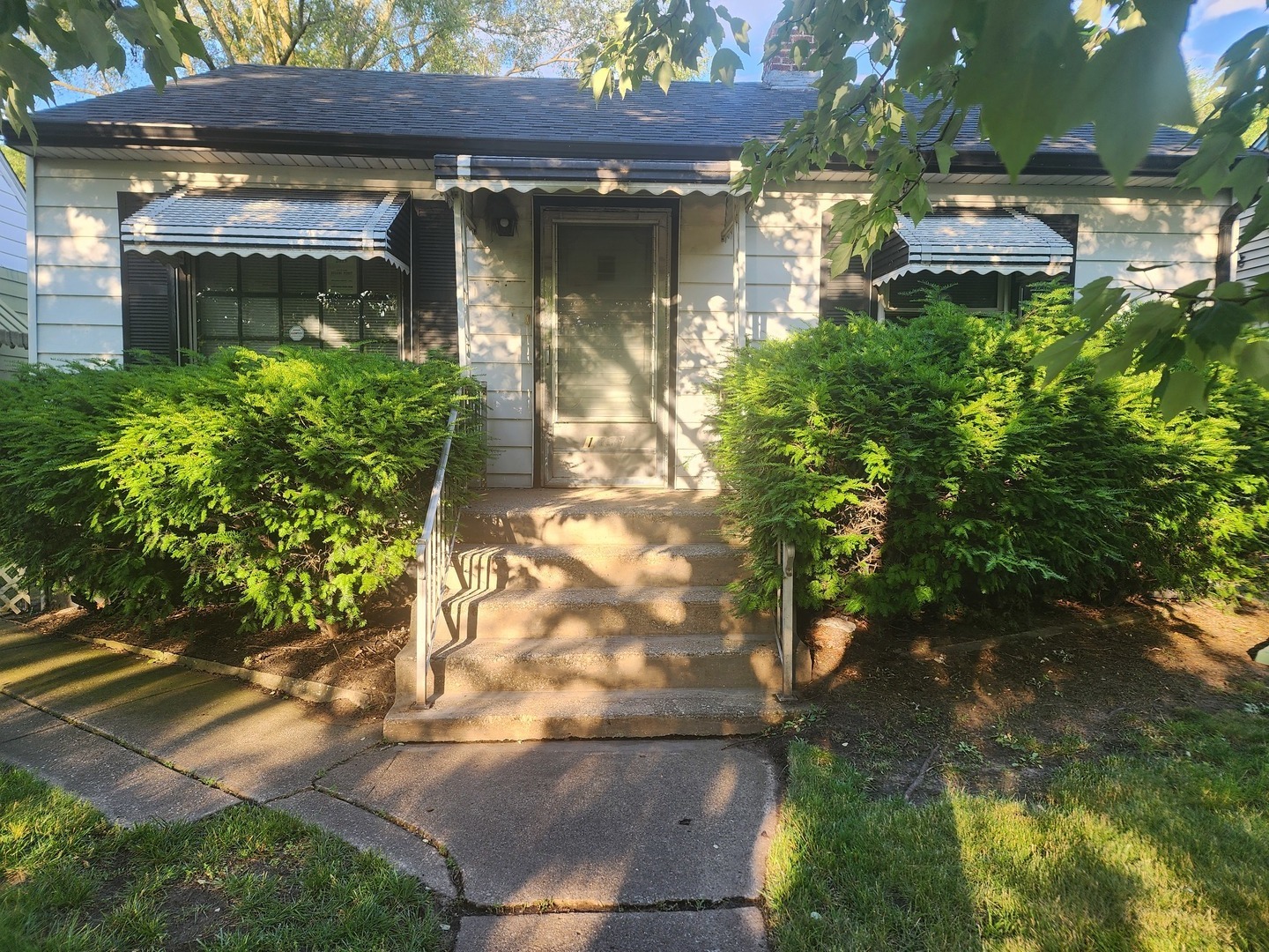 a view of backyard of the house