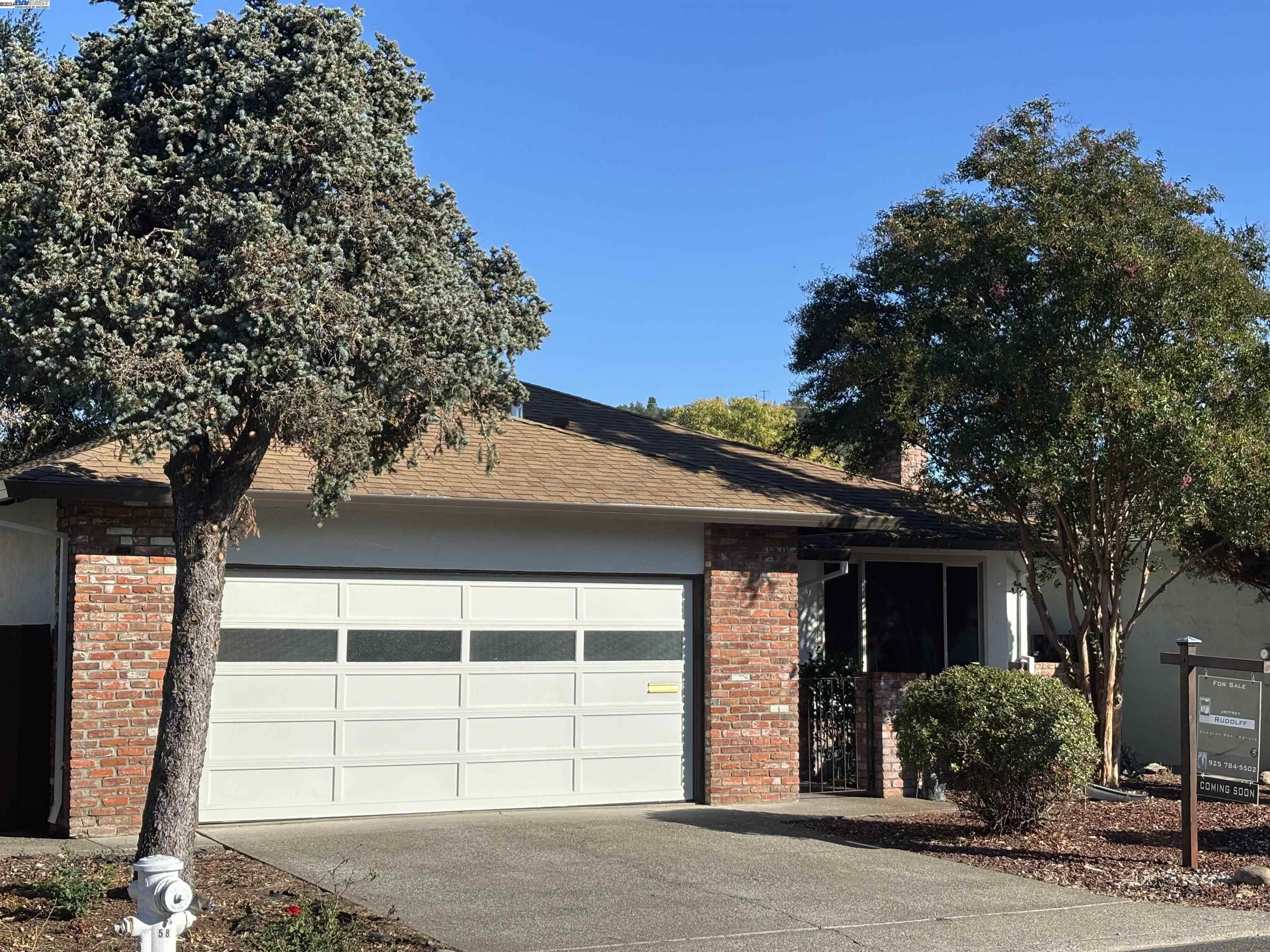 front view of a house with a tree