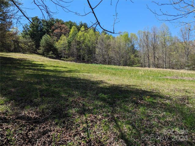 $225,000 | Tbd Jaybird Lane | Blue Ridge Township - Henderson County