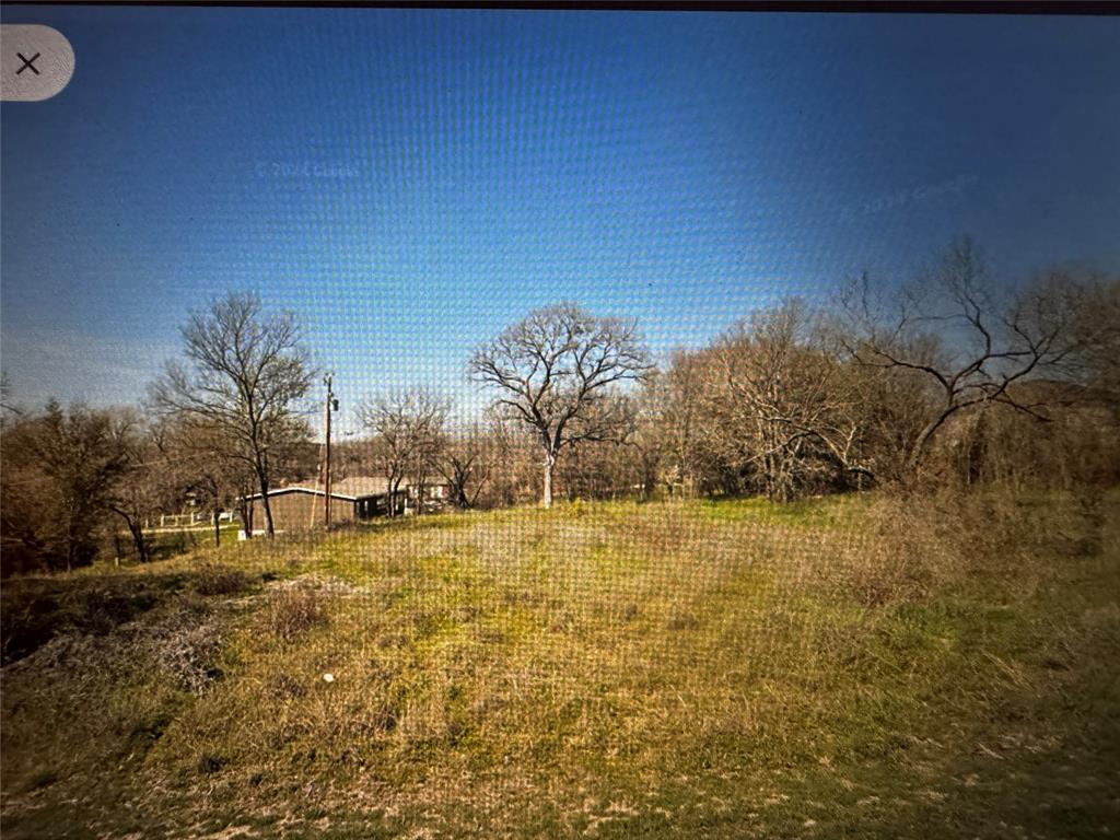 a view of dirt yard with a large tree